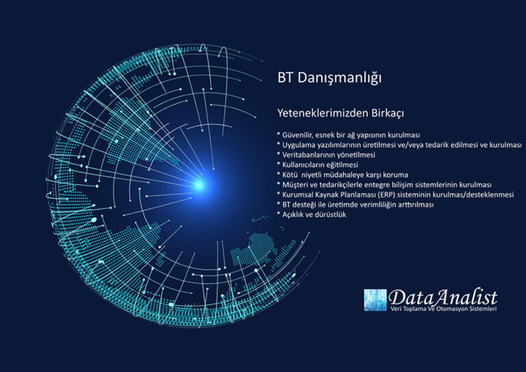 Bilişim Danışmanlığı